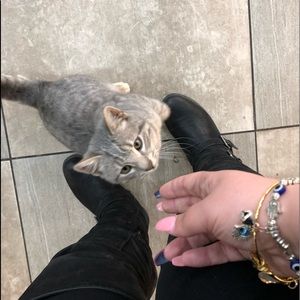 Meet your Posher, Samantha